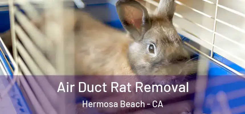  Air Duct Rat Removal Hermosa Beach - CA