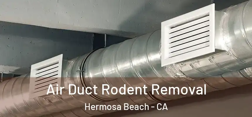  Air Duct Rodent Removal Hermosa Beach - CA