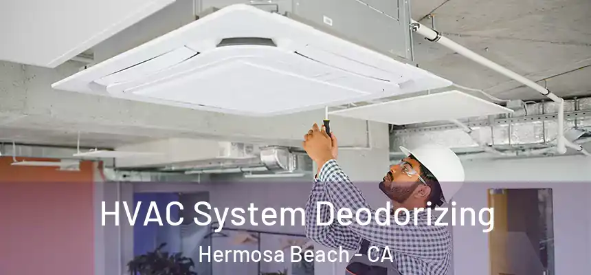 HVAC System Deodorizing Hermosa Beach - CA
