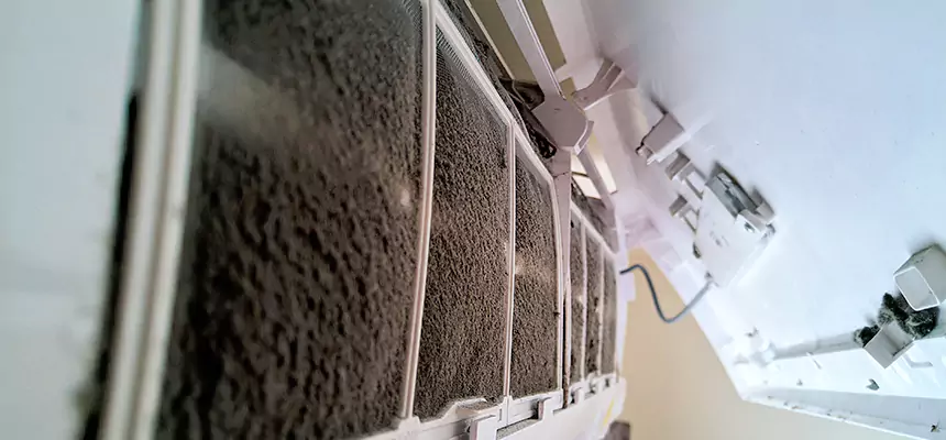 Preventive Air Duct Bacteria Removal in Hermosa Beach