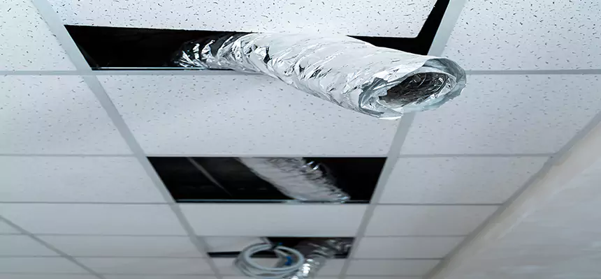 Affordable HVAC Sanitizing After Pest Removal in Hermosa Beach