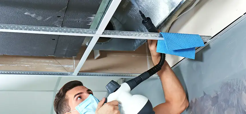 Our Air Duct Rodent Removal Services in Hermosa Beach, CA