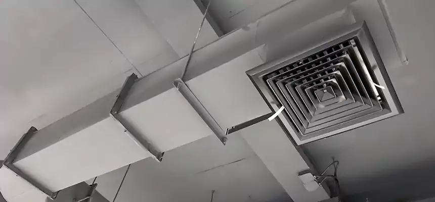 Our Pest Removal From Ducts Services in Hermosa Beach, CA