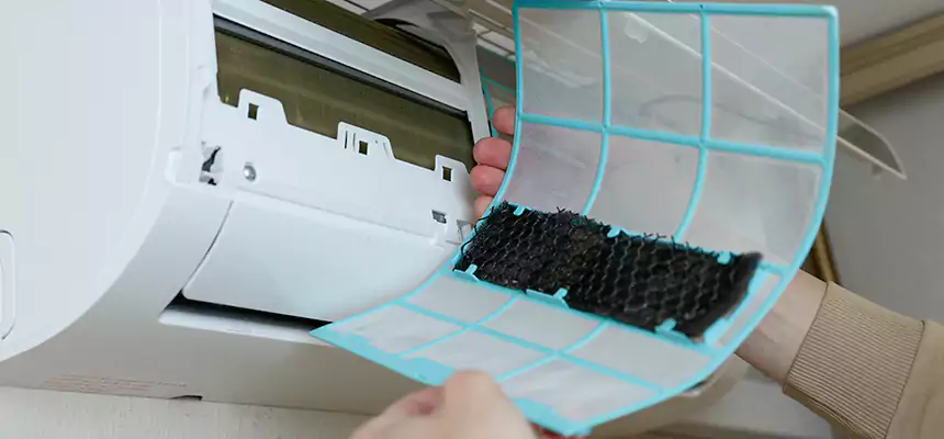 Gentle Ductwork Odor-Control Pet Dander Duct Cleaning in Hermosa Beach, CA