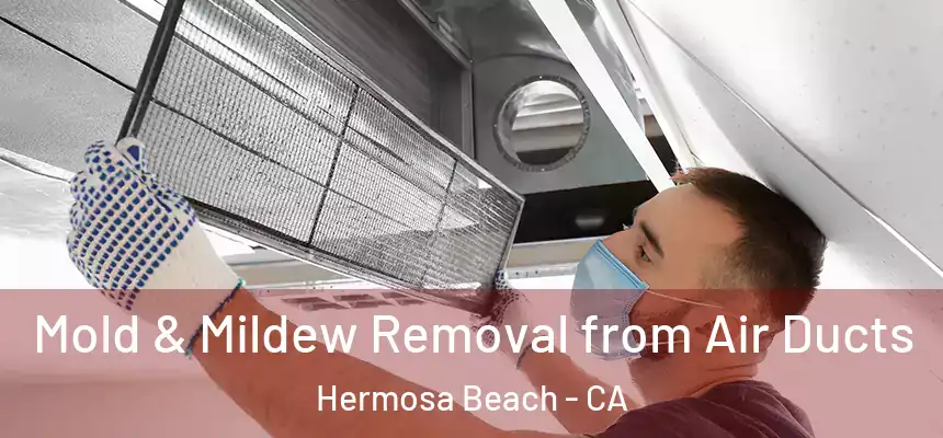 Mold & Mildew Removal from Air Ducts Hermosa Beach - CA