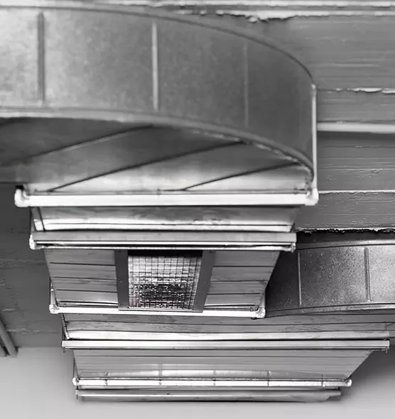 Professional Air Duct Pest Removal in Hermosa Beach, CA