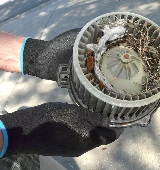 About Air Duct Rat Removal in Hermosa Beach, CA