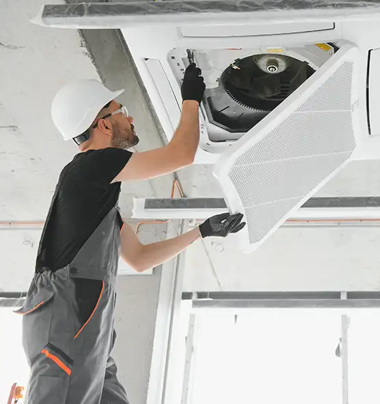 About Air Duct Rodent Removal in Hermosa Beach, CA