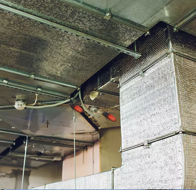 Why Homeowners & Businesses Trust Us in Hermosa Beach, CA?