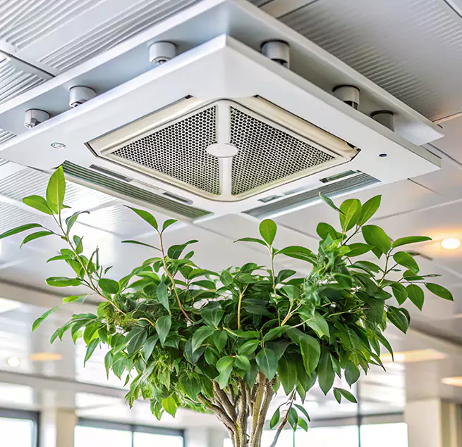 Why Homeowners & Businesses Trust Us in Hermosa Beach, CA?