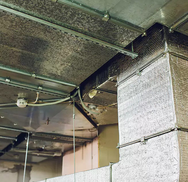 Why Homeowners & Businesses Trust Us in Hermosa Beach, CA?